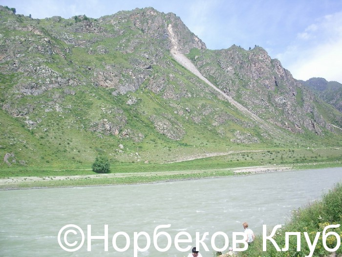 037_resize